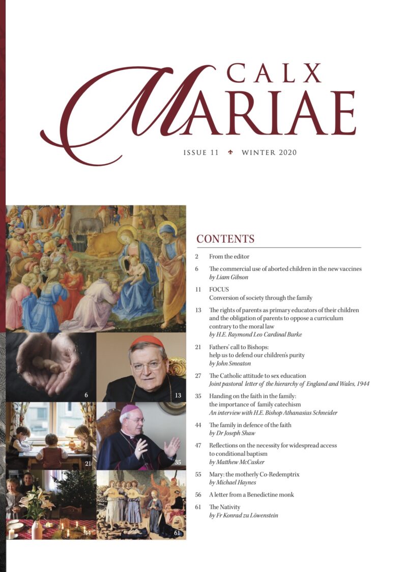 Calx Mariae issue 11 Winter 2020 - Image 2