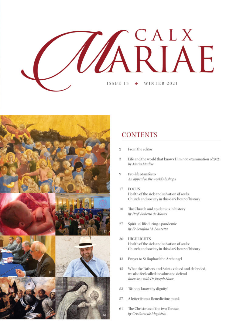 Calx Mariae issue 15 Winter 2021 (digital edition) - Image 2