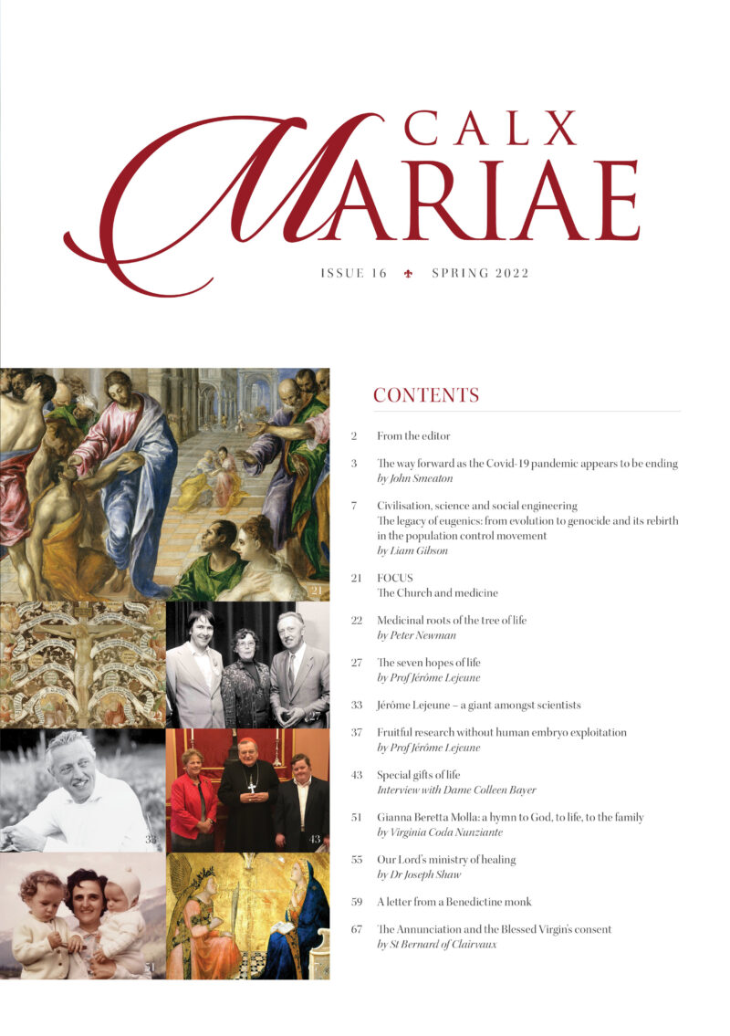 Calx Mariae issue 16 Spring 2022 - Image 2