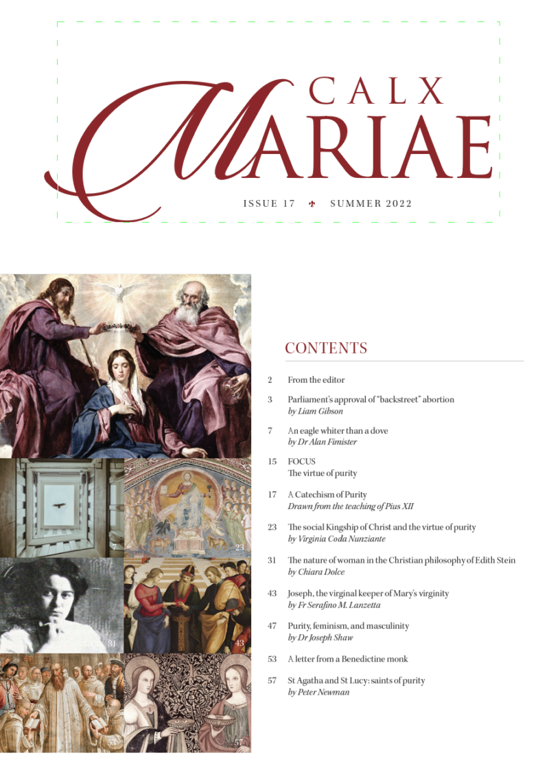 Calx Mariae issue 17 Summer 2022 - Image 2
